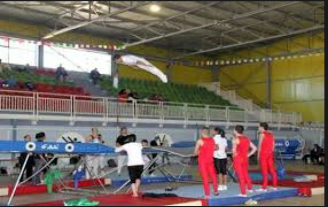 Gymnastique/Championnat d’Algérie: plus de 140 athlètes à la 5e étape à Oran