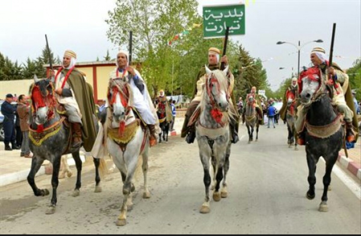 Concours « Allure et modèle » : 700 chevaux en lice à Tiaret