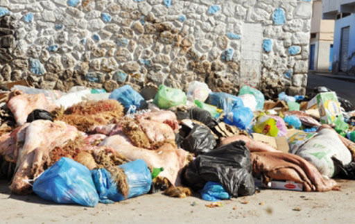 Abattage anarchique, non-respect de l&rsquo;environnement et de l&rsquo;hygiène  Aïd el Adha fera-t-il exception cette année ?