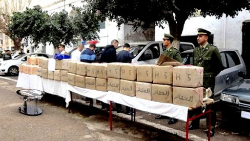 Algérie : 7 narcotrafiquants arrêtés et près de 5 quintaux de kif traité saisis à Tlemcen