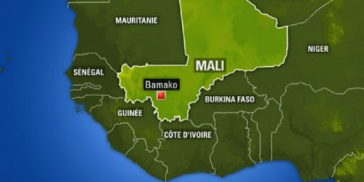 Après la prise d’une ville par des terroristes: Le ministre malien de la Défense limogé