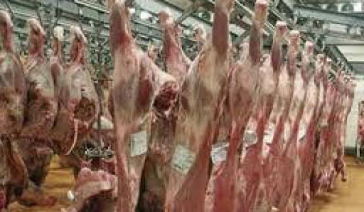 Cinq millions de dinars pour l&rsquo;entretien des abattoirs
