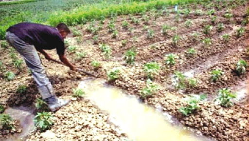 Comment inciter les jeunes à investir dans l’agriculture