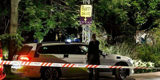 Copenhague: Le Danois suspecté d’avoir tiré sur deux policiers est un « soldat de l’EI » selon l’Amaq.