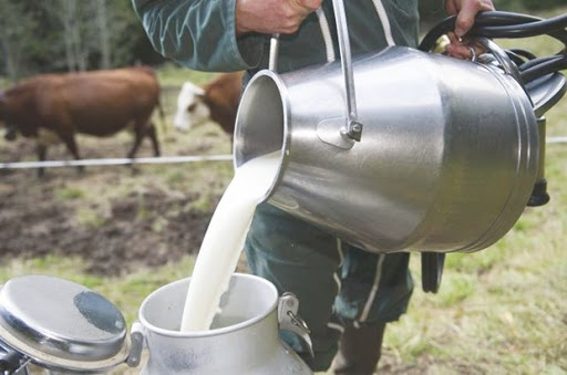 Défiant les plus élémentaires règles d’hygiène: Le lait cru vendu sur la voie publique