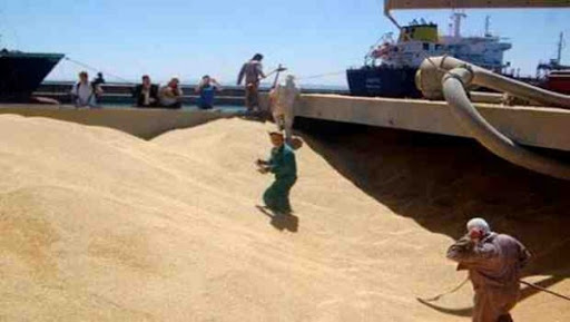 Face au recul de la production nationale: L’OAIC commande 50 000 tonnes de blé