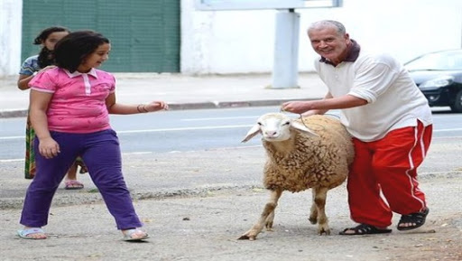 Fête de l&rsquo;Aïd El Adha: les journées des 12 et 13 septembre chômées et payées
