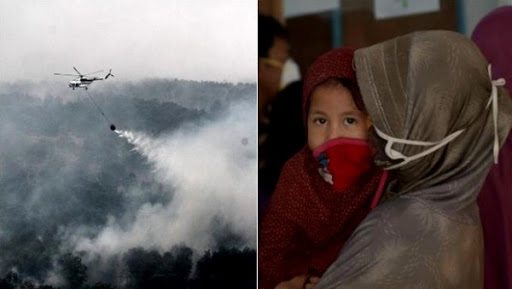 Fumée des feux de forêt en Asie du Sud-Est: 100.000 décès prématurés