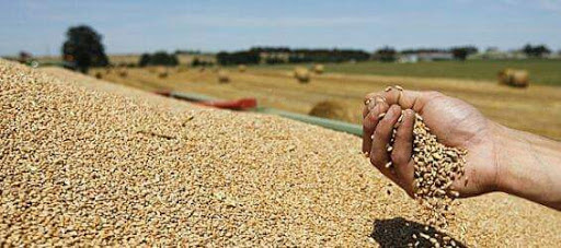 La France perd des parts de marchés en Algérie.