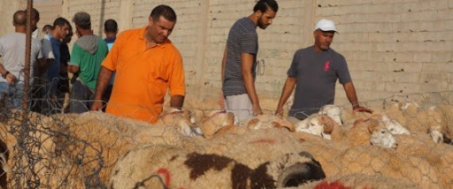 Les couteaux et les haches font plus 1200 blessés à Alger durant l’Aid Al-Adha
