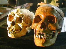 L&rsquo;Homo sapiens présent dans le sud tunisien il y a près de 100.000 ans