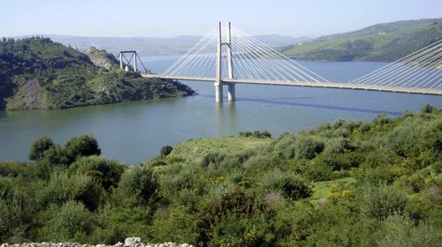 Mila: Quand le rêve caresse la réalité