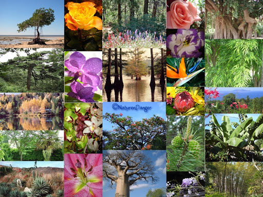 Oran : congrès international sur l’environnement et la biodiversité en novembre