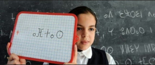 Oran: une école privée se lance dans l&rsquo;enseignement de Tamazight