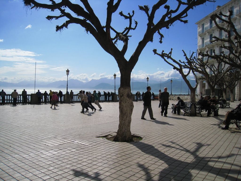 Béjaïa: Le wali ordonne l’arrêt des travaux de la place Gueydon