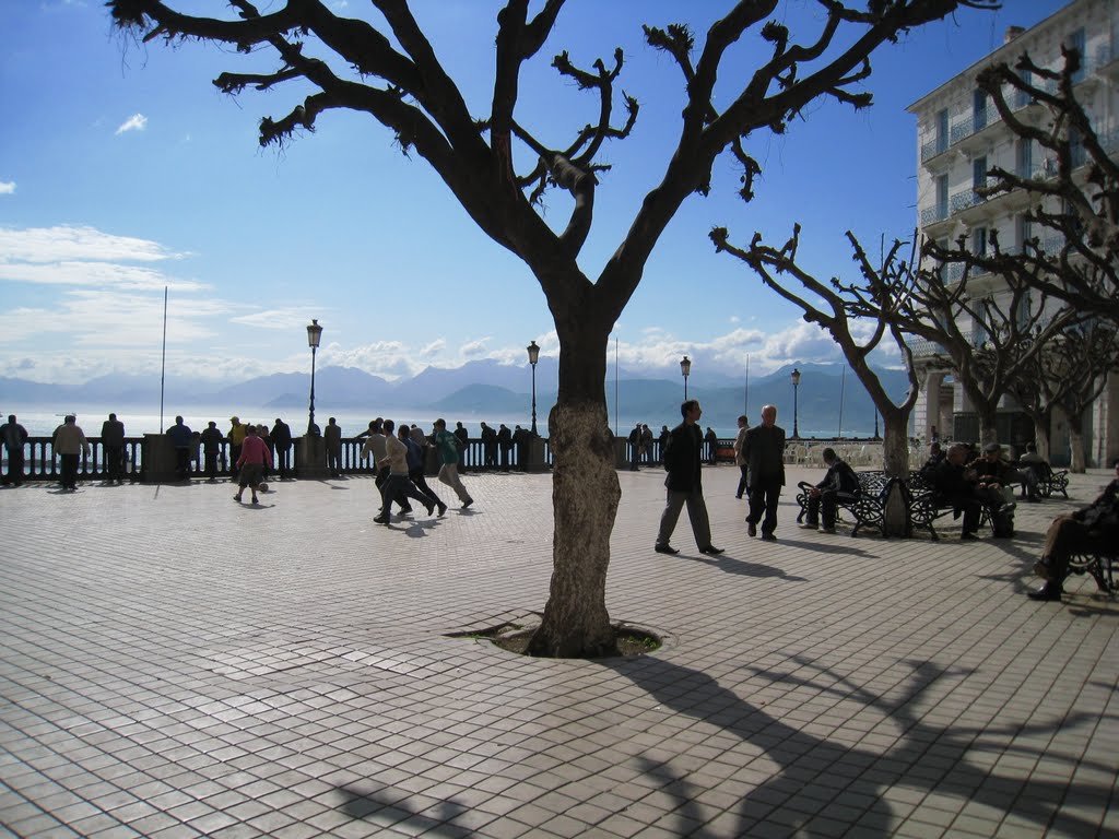 Béjaïa: Le wali ordonne l’arrêt des travaux de la place Gueydon