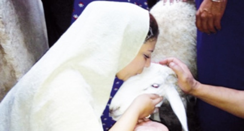 Quand les mostaganémois se solidarisent pour l&rsquo;Aïd: « Besmat El Aïd »