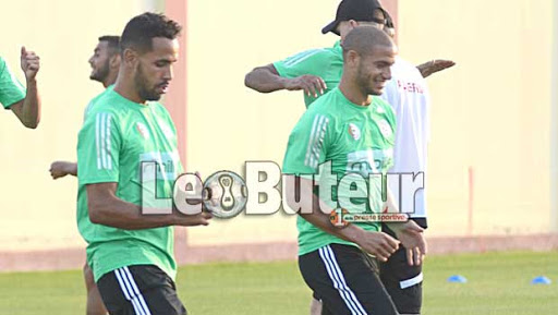 Rajevac décide de compter sur Guedioura face au Cameroun