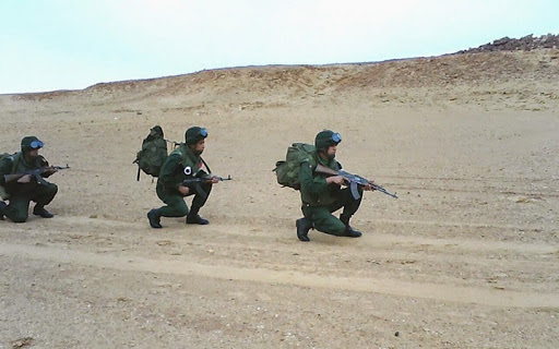 Sécurisation des frontières: 56 individus arrêtés