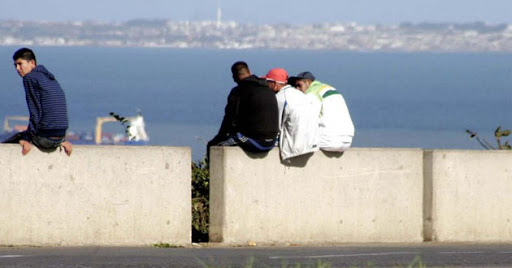 Taux d’activité en Algérie 44 % selon l’OIT
