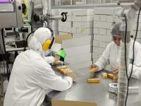 Tlemcen : 29 micro-entreprises créées dans le domaine des TIC