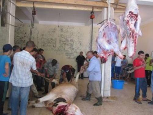 Très en vogue ces dernières années en kabylie: Quand le boeuf remplace le mouton