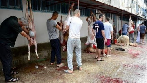 Un « pic » historique de consommation d&rsquo;eau à Alger le jour de l&rsquo;Aïd