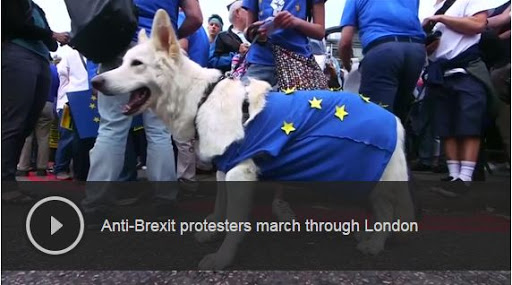 Vidéo: Des milliers de Britanniques manifestent contre le Brexit