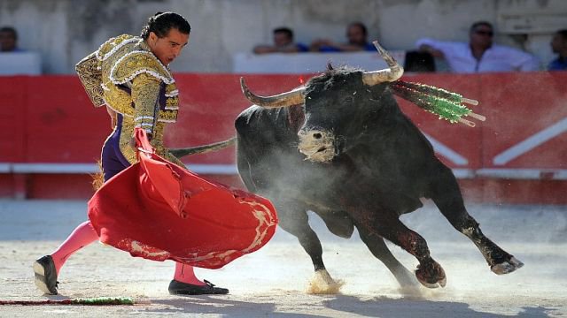 L’interdiction des corridas en Catalogne est annulée