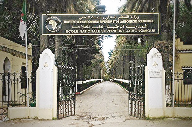 Dérogations “illégales”, accès au doctorat “sans concours” à l’ENSA: Les enseignants réclament une enquête indépendante