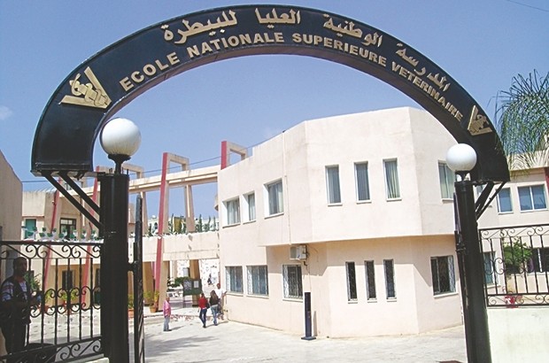 Ecole Nationale Supérieure Vétérinaire d’Alger: Des transferts d’étudiants suspects
