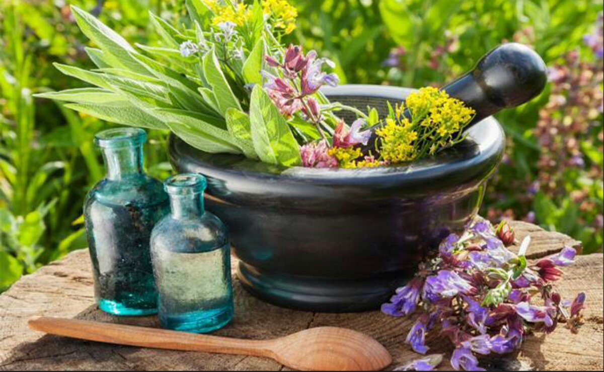 Un salon pour les plantes médicinales à Alger