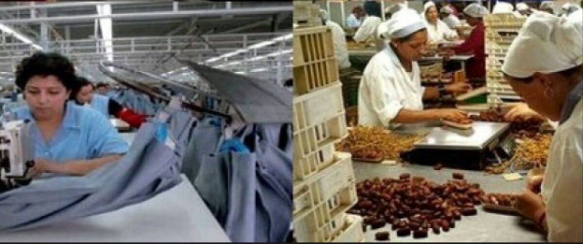 Alger: Un centre de facilitation pour jeunes promoteurs opérationnel fin 2016