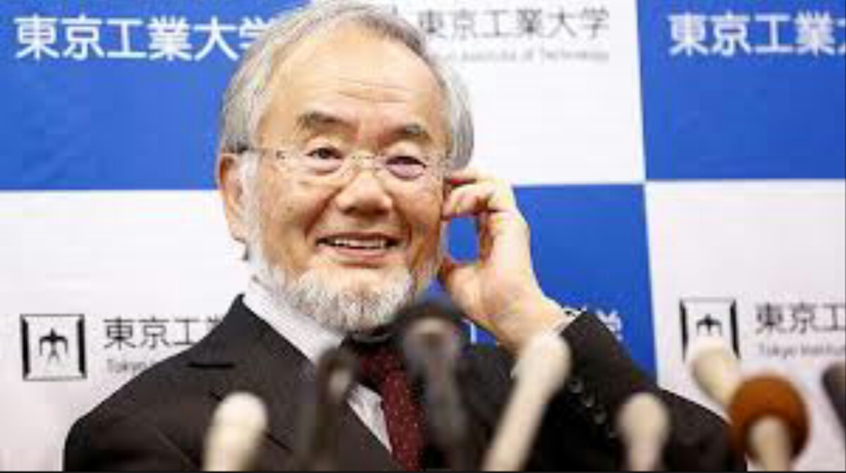 Le Nobel de médecine à un Japonais qui a exploré l' »usine de recyclage »