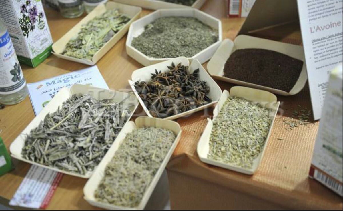 Plantes médicinales : l’Algérie à la traîne