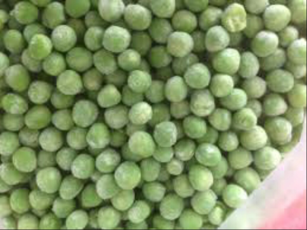 Refoulement de 22 tonnes de petits pois congelés au port d’Oran