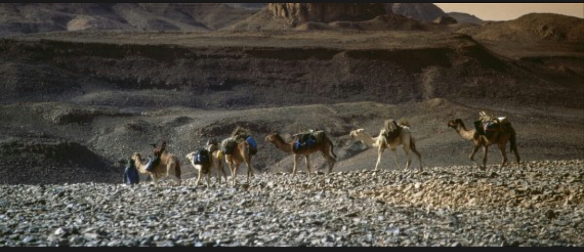 Le secteur du Tourisme ne représente que 1,5% du PIB de l’Algérie