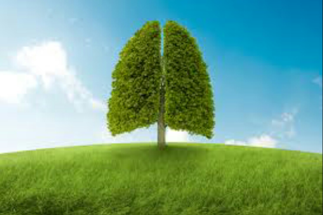 Climat : le seuil des ratifications du COP21 atteint, l’entrée en vigueur dans 30 jours