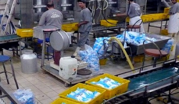 Pour infraction à la réglementation: Fermeture de deux laiteries à Médéa