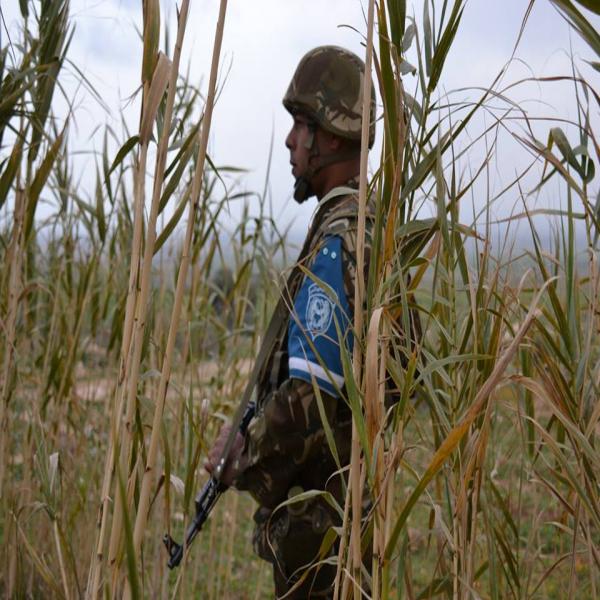 Algérie: Destruction d’une cache et arrestation de 4 éléments de soutien aux groupes terroristes