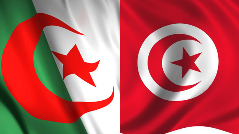 Algérie-Tunisie : la coopération agricole “pas à la hauteur…”