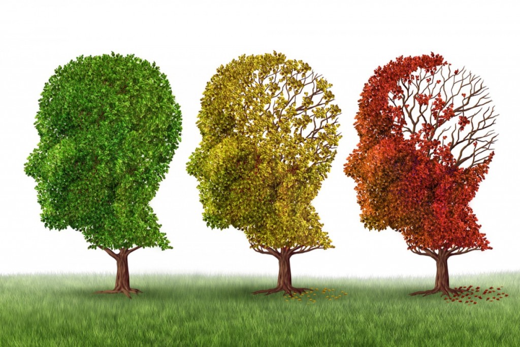 Alzheimer : un traitement efficace en laboratoire