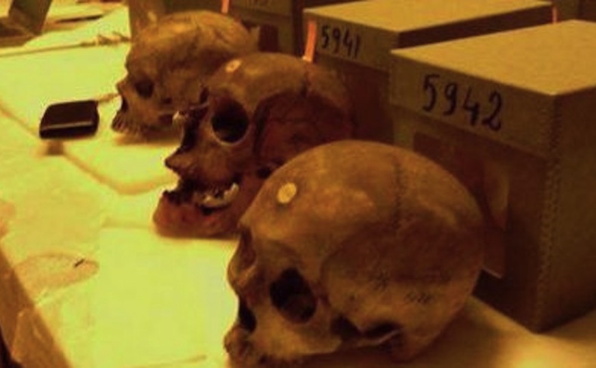 Selon Paris, l’affaire des crânes de résistants algériens se traite « dans la confiance ».