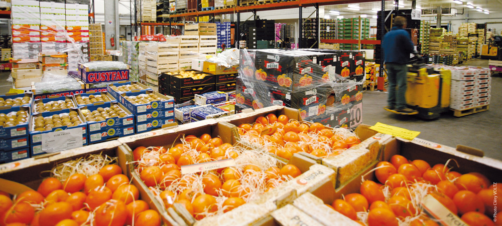 Lounès Hamis, jeune exportateur: Un dur métier que d&rsquo;exporter