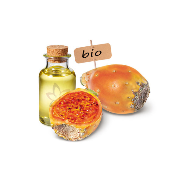 Figue de barbarie : une filière à développer