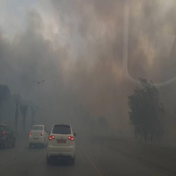 Canicule: 24 incendies à Alger et 28 à Tizi-Ouzou, une personne tuée.