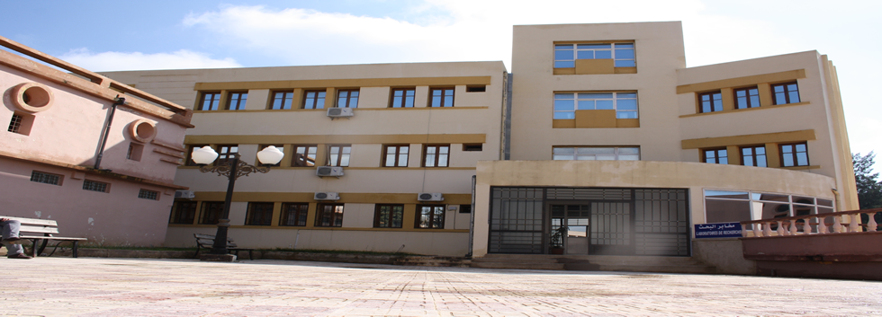 KHEMIS MILIANA : Des blessés dans l’effondrement d’un mur à l’Université