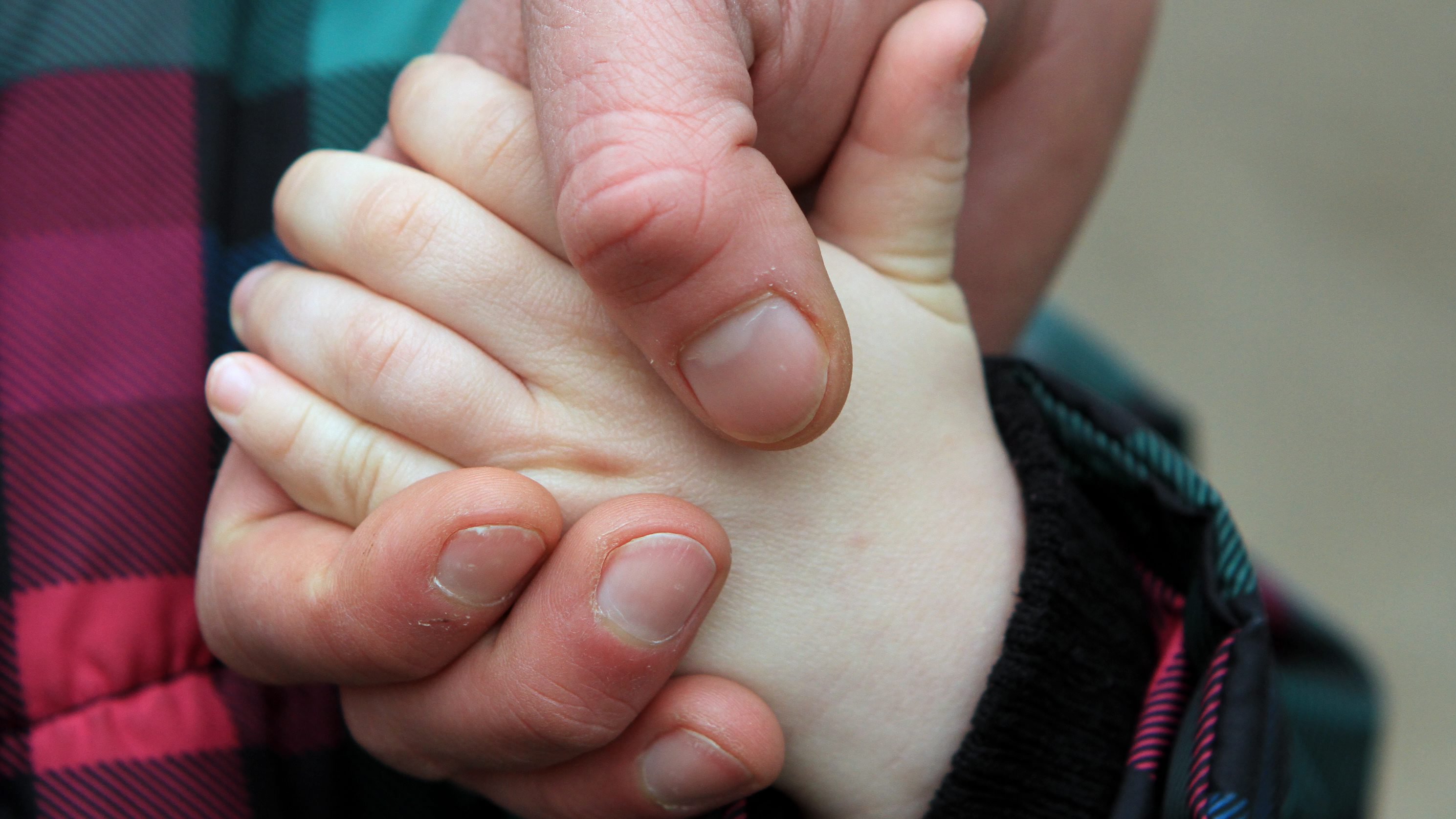 Tipasa : Mise en échec d’une tentative de kidnapping d’un mineur.