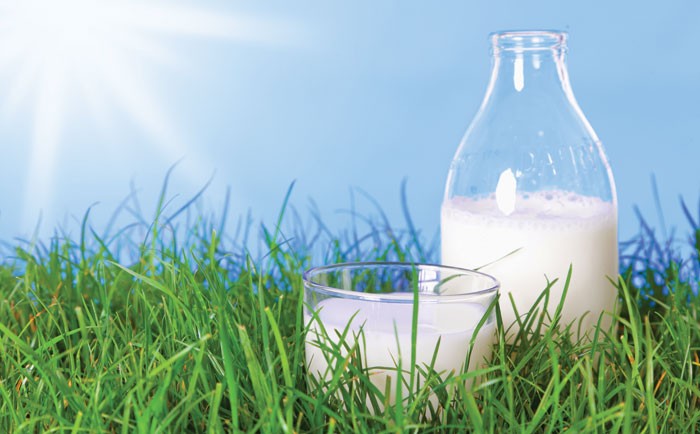 Les importations de lait en baisse de plus de 27% sur les 8 premiers mois.