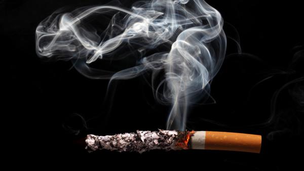 Lutte contre le tabagisme: Réunion régionale préparatoire de la COP7 lundi prochain à Alger.